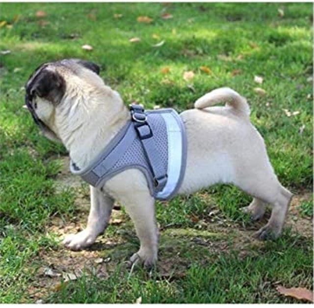 Soft Jacket Step-In Harness 2
