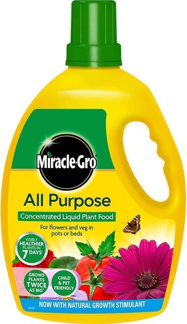 10 Best Fertilisers UK 2024 | Westland, Miracle-Gro and More 2