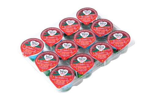 Organic Strawberry Yogurt 2