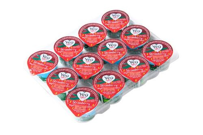 Organic Strawberry Yogurt 2