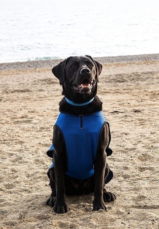 Lightweight Dog Cooling Jacket 3