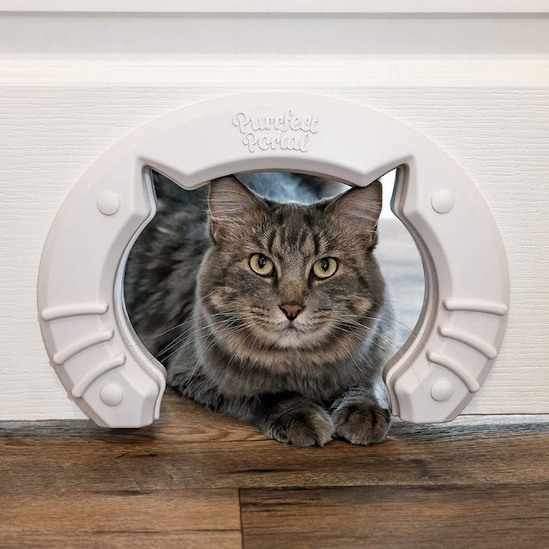 Interior Pet Door for Cats 1