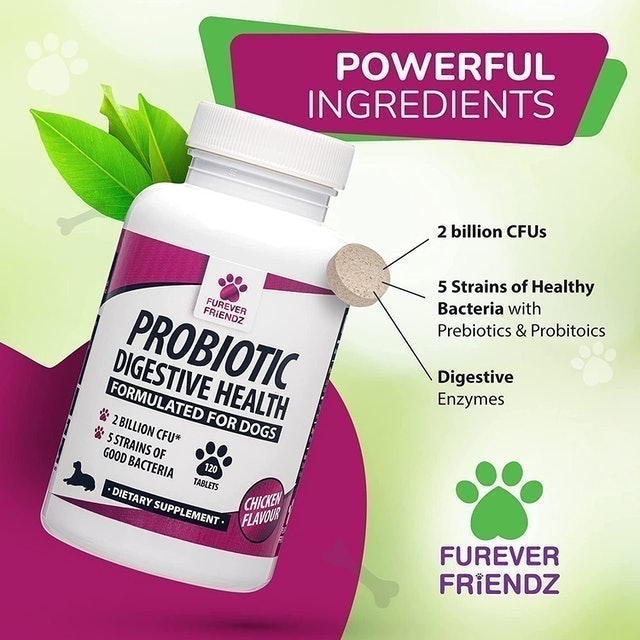 Canine Probiotics & Prebiotics for Digestive Health  2