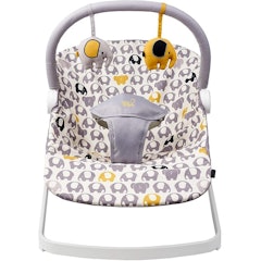 Float Baby Bouncer