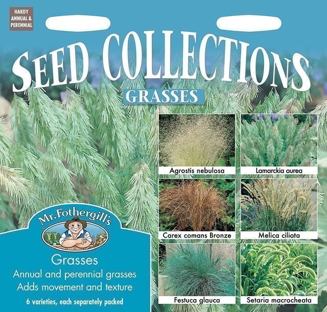 10 Best Grass Seeds UK 2024 | Miracle-Gro, The Grass People and More 3