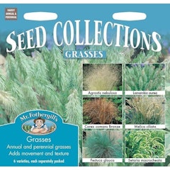 Seed Collections Grasses