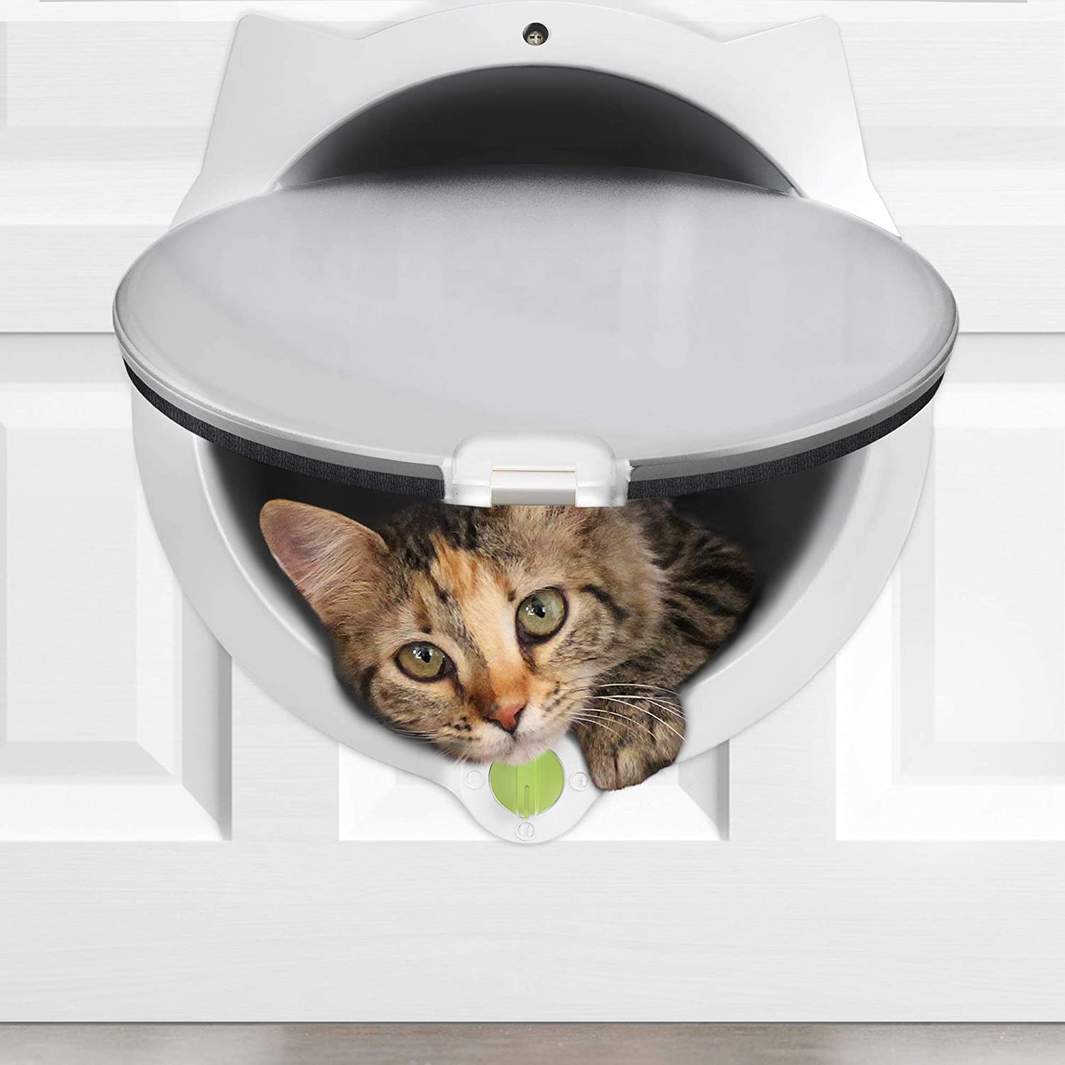 4Way Locking Cat Door 1