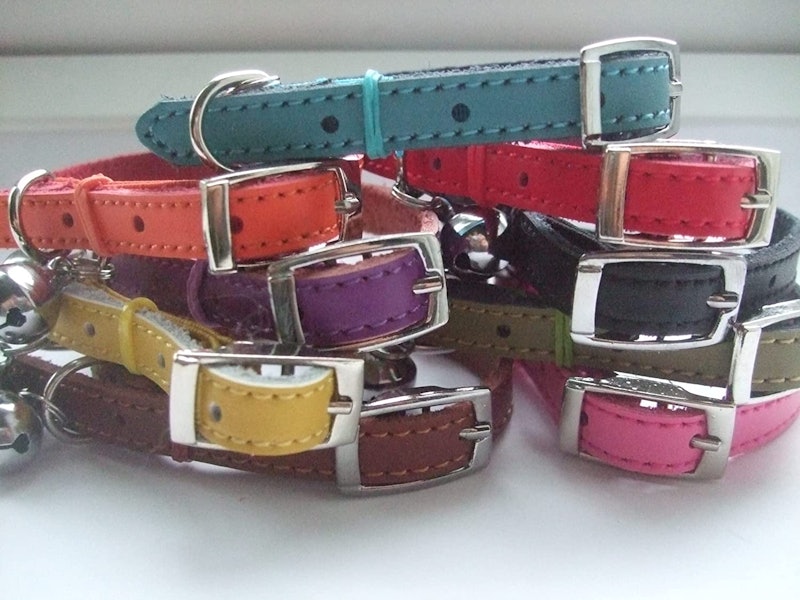 Leather Cat Collar 1
