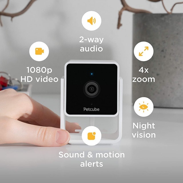Pet Camera 2