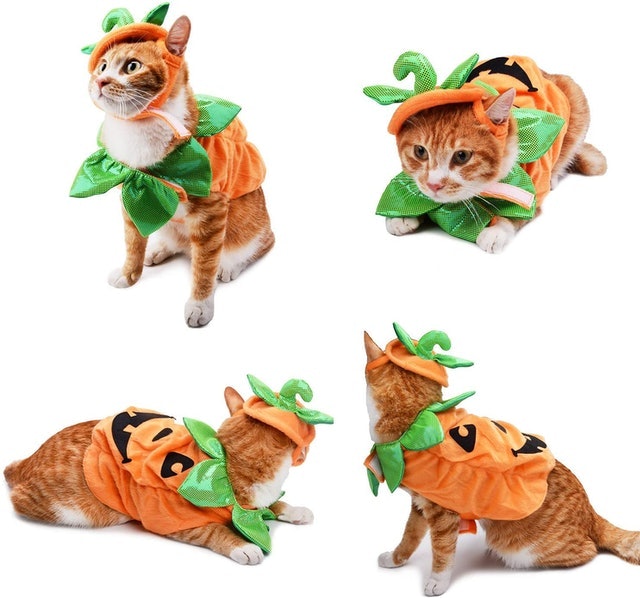Halloween Pumpkin Outfit 4