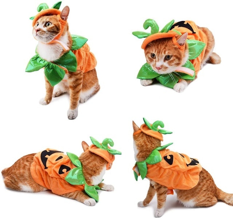 Halloween Pumpkin Outfit 4