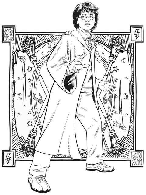 Harry Potter Colouring Book: Celebratory Edition 2