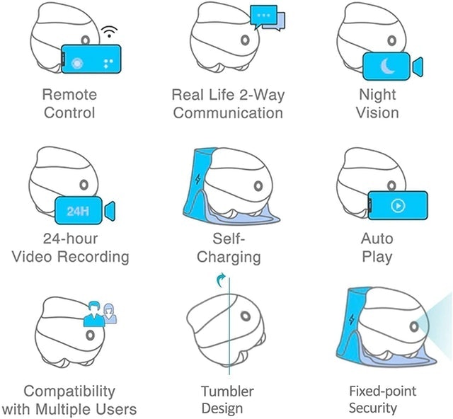 Moving Pet Camera 2