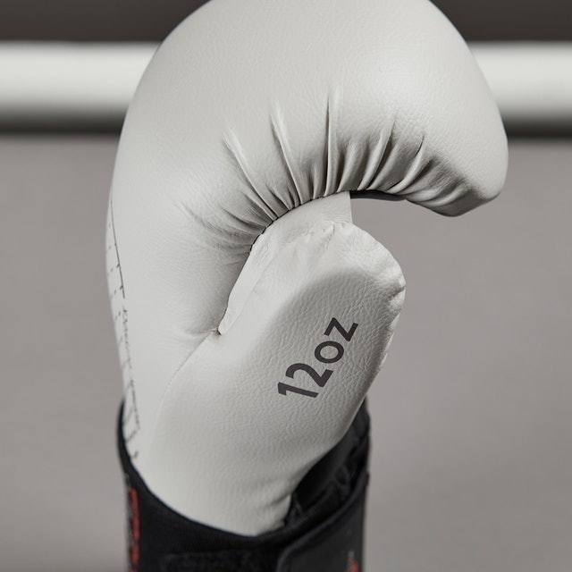 500 Ergo Boxing Gloves 2