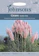 Johnsons Pink PampasGrass 1