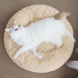 10 Best Cat Beds UK 2024 | Rosewood, AmazonBasics and More 3