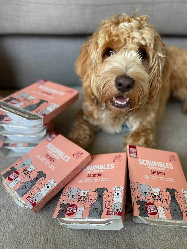 Natural Wet Dog Food with Salmon 2