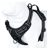 10 Best Dog Harnesses UK 2024 | Discourage Bad Habits and Aid Mobility 3