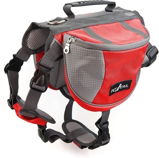 10 Best Saddlebags for Dogs UK 2024 | Ruffwear, Kurgo and More) 1
