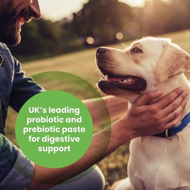 Probiotic Paste For Cats And Dogs 3