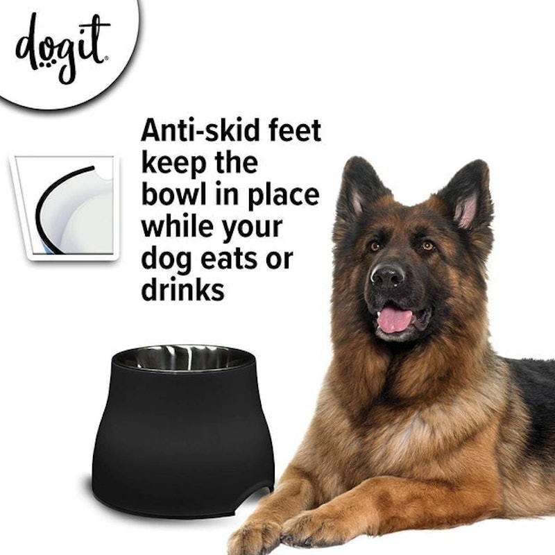 2-in-1 Elevated Dish/Bowl 2