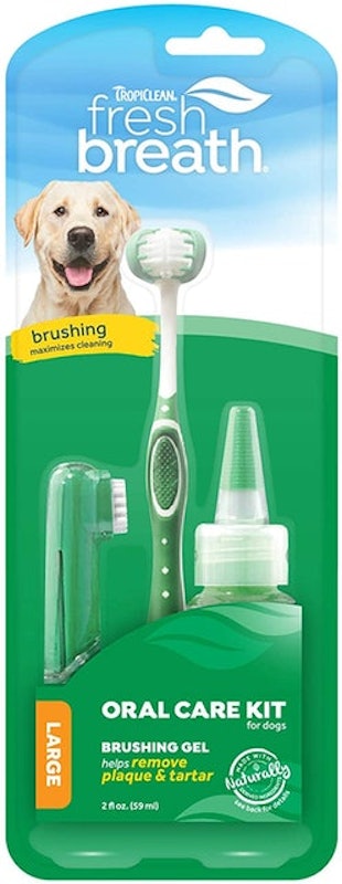 Fresh Breath Oral Care Kit 1