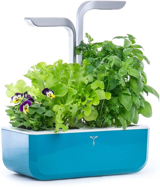 10 Best Indoor Herb Garden Kits UK 2024 | AeroGrow, Veritable and More 3