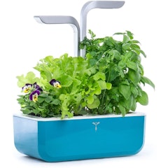 Indoor Garden