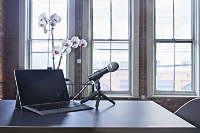 Unidirectional Dynamic Microphone 2