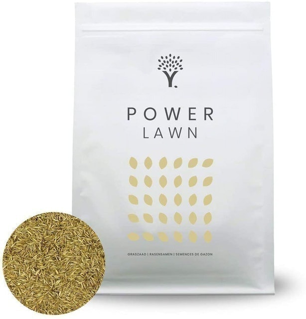 Super Resilient & Fast Growing Grass Seeds 1