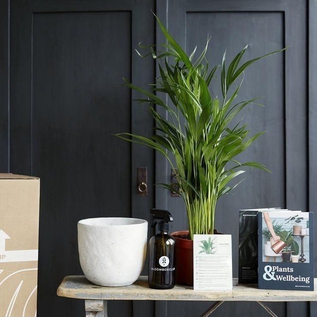 Plant Subscription Box 1