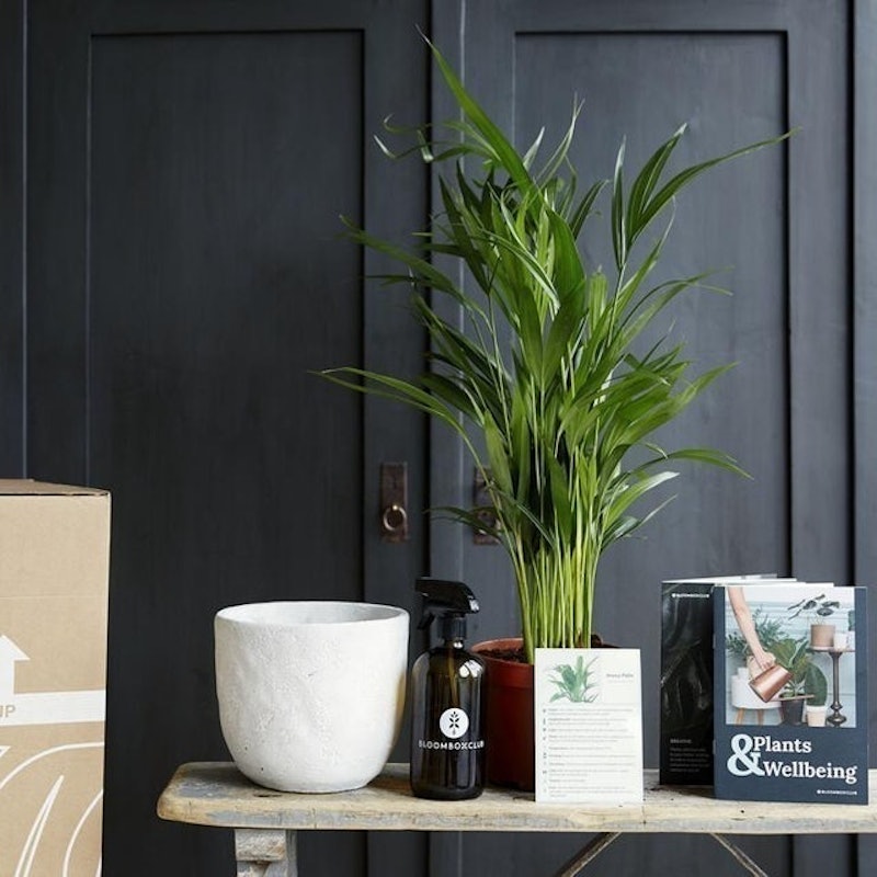 Plant Subscription Box 1