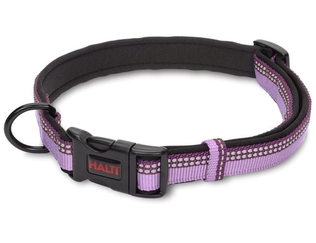 Top 10 Best Dog Collars 2024 | UK Veterinarian Reviewed 2