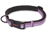 Top 10 Best Dog Collars 2024 | UK Veterinarian Reviewed 2