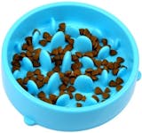 10 Best Slow Feed Dog Bowls UK 2024 3