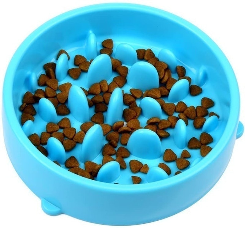 Slow Feeder Dog Bowl 1