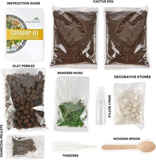 Terrarium Kit: Essentials Starter Pack 2