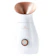 STYLPRO 4-in-1 Facial Steamer 1