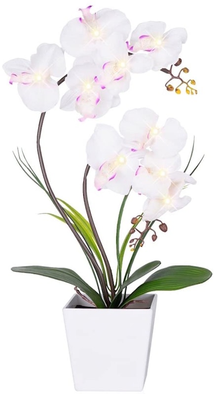 10. Homeseasons LED Lighted Orchid Pot 1