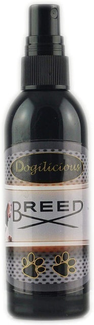 Breed Dog Cologne  1