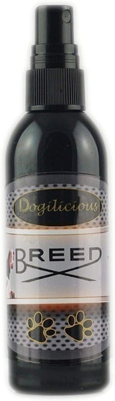 Breed Dog Cologne 1