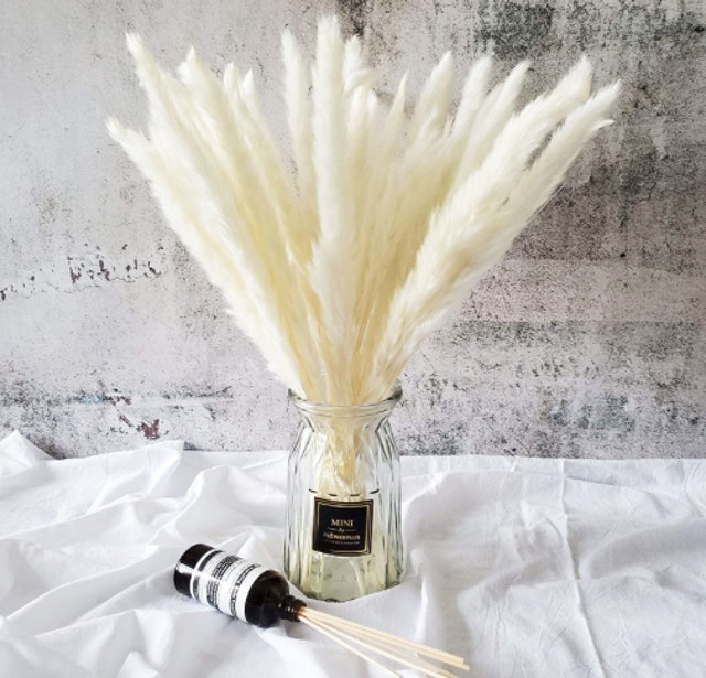 Natural Dried Pampas Grass  1