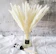 Beau Jour Natural Dried Pampas Grass 1