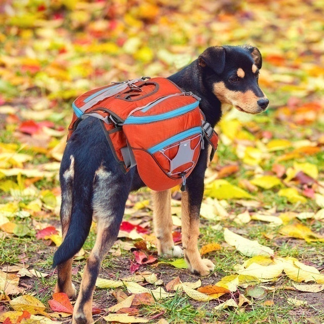 Dog Saddle Bags 3