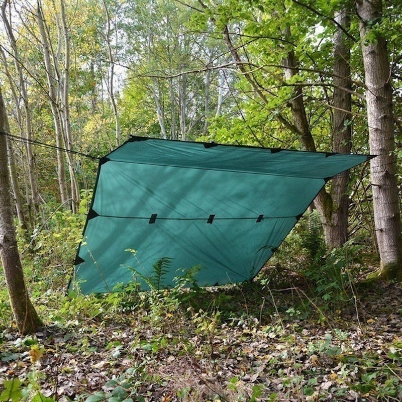 DD Tarp 1