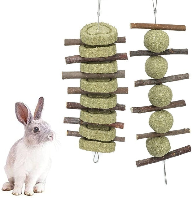 10 Best Toys for Rabbits 2024 | UK Veterinarian Reviewed 3