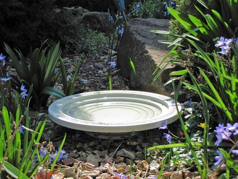 Nature Oasis Bird Bath 2
