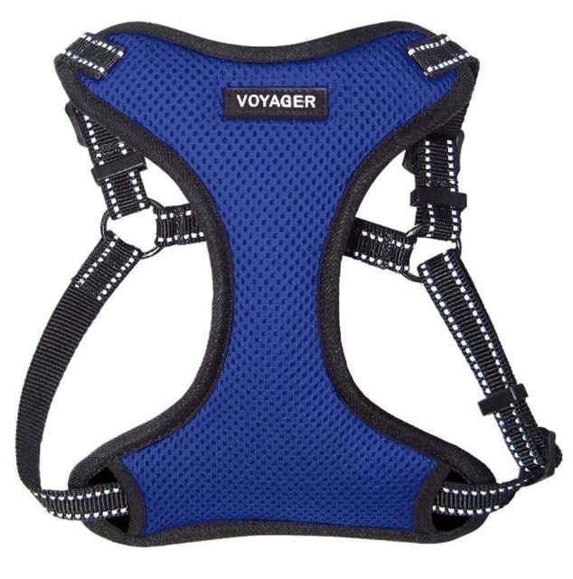 10 Best Dog Harnesses UK 2024 | Discourage Bad Habits and Aid Mobility 2