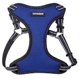 10 Best Dog Harnesses UK 2024 | Discourage Bad Habits and Aid Mobility 2
