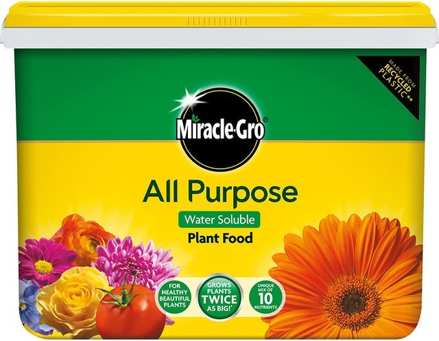 10 Best Indoor Plant Foods UK 2024 | Miracle-Gro, Gro-Sure and More 1